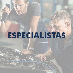 Especialistas